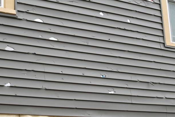 Historical Building Siding Restoration in Centralia, IL